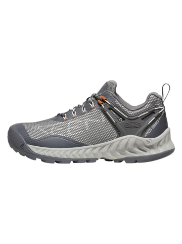 Keen Wandelschoenen "Nxis Evo" grijs