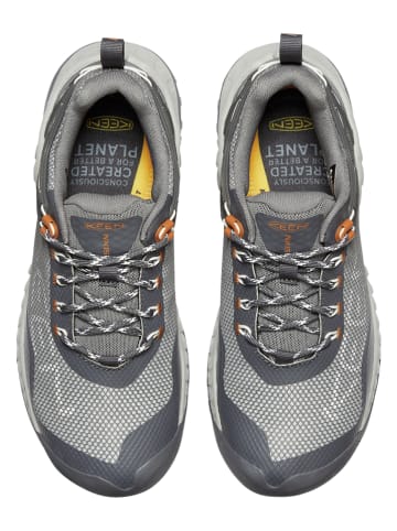 Keen Wandelschoenen "Nxis Evo" grijs