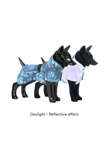 Paikka Hunde-Regenmantel in Blau