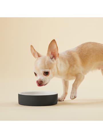 Paikka Hundeschüssel "Cool Bowl" in Schwarz - Ø13 cm