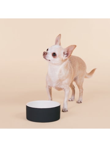 Paikka Hundeschüssel "Cool Bowl" in Schwarz - Ø13 cm