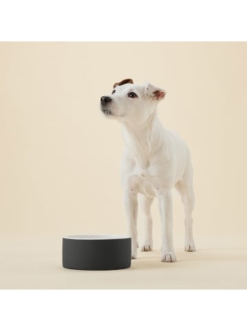 Paikka Hondendrinkbak "Cool Bowl" zwart