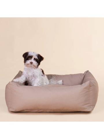 Paikka Hundebett in Hellbraun