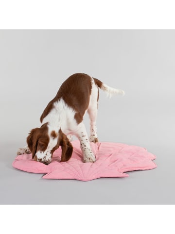 Paikka Hunde-Spielmatte "Seashell" in Rosa