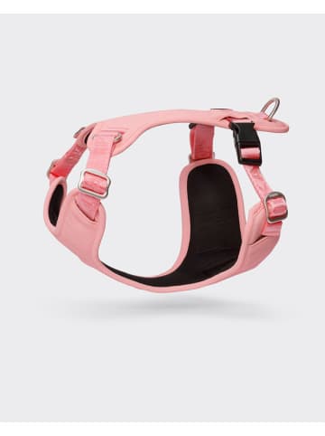 Paikka Hundegeschirr in Rosa