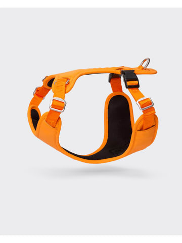 Paikka Hundegeschirr in Orange