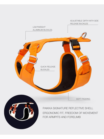 Paikka Hondentuigje oranje