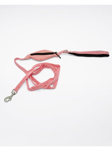 Paikka Hundeleine in Rosa