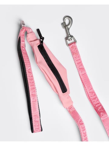 Paikka Hundeleine in Rosa