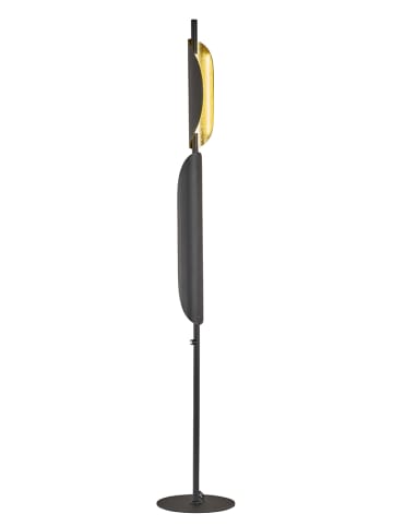 FISCHER & HONSEL Lampa stojąca LED "Skal" w kolorze złoto-czarnym - wys. 155 x Ø 25 cm