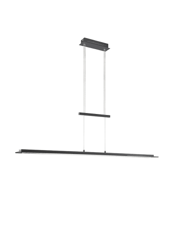 FISCHER & HONSEL LED-Hängeleuchte in Schwarz - (B)145 cm