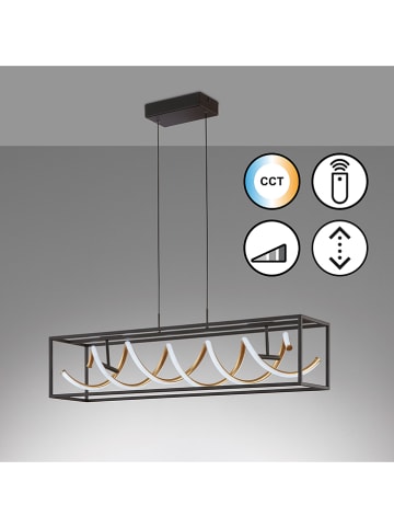 FISCHER & HONSEL LED-Hängeleuchte in Schwarz/ Gold - (B)90 x (H)20 cm