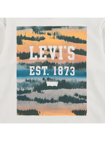 Levi's Kids Hoodie wit