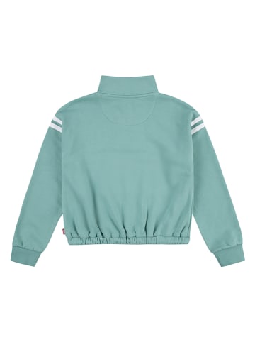 Levi's Kids Sweatshirt in Hellgrün