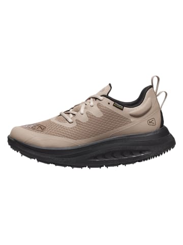 Keen Sneakers "WK450" in Beige
