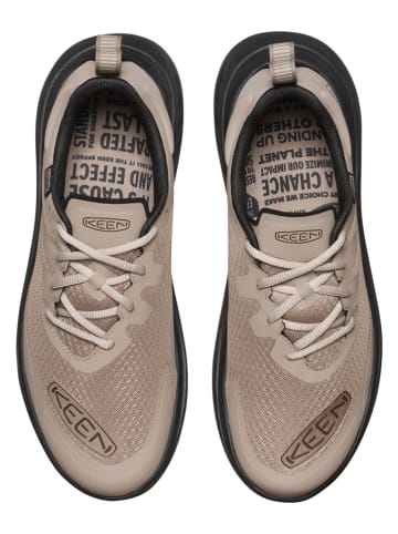 Keen Sneakers "WK450" in Beige