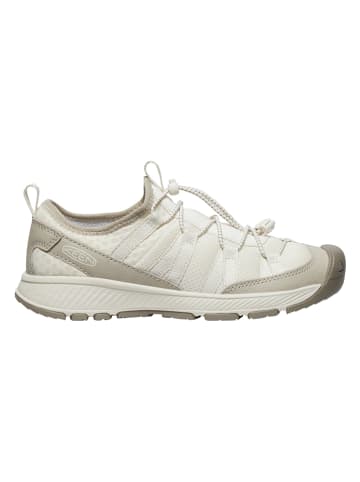 Keen Sneakers "Motozoa" crème