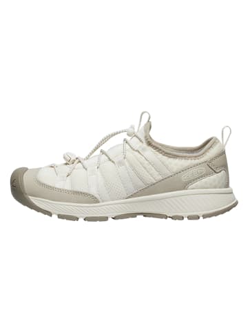Keen Sneakers "Motozoa" in Creme