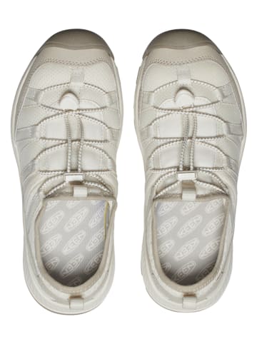 Keen Sneakers "Motozoa" in Creme