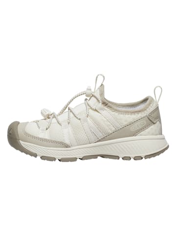 Keen Sneakers "Motozoa" in Creme