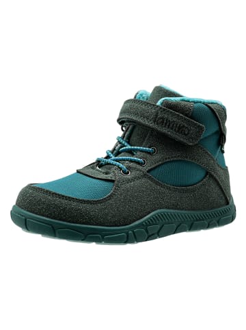 lamino Barfußschuhe in Grün