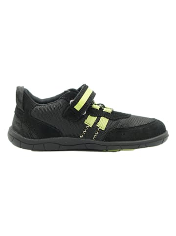 lamino Leren barefootschoenen zwart