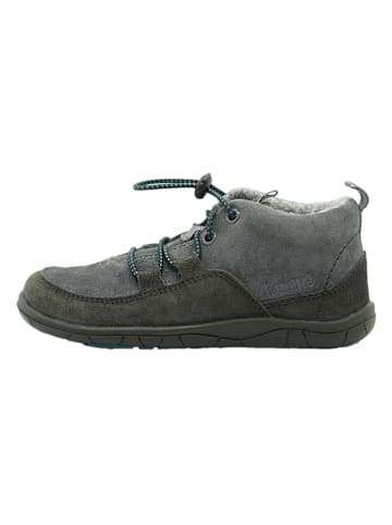 lamino Leder-Barfußschuhe in Grau