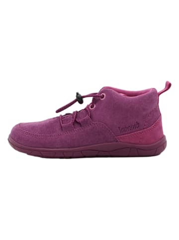 lamino Leder-Barfußschuhe in Lila