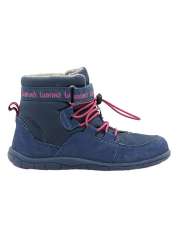 lamino Leder-Barfußschuhe in Blau