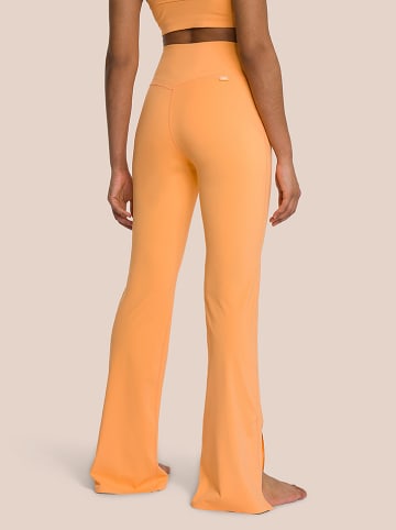 OCEANSAPART Trainingshose "Venus" in Orange