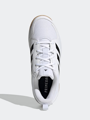 adidas Buty "Ligra 7" w kolorze białym do piłki ręcznej
