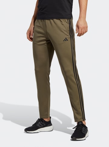 adidas Trainingshose "Essentials" in Khaki