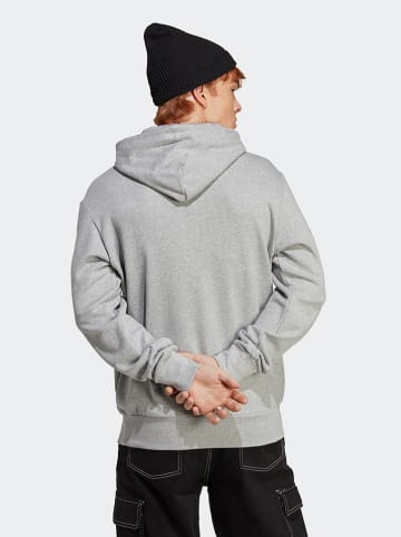adidas Hoodie in Grau