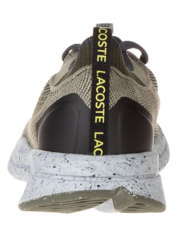 Lacoste Sneakersy w kolorze khaki
