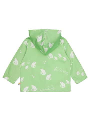 loud + proud Jas groen/wit/blauw
