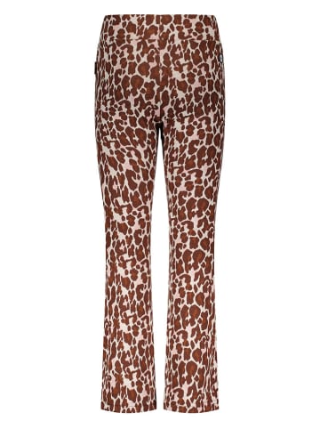 B.Nosy Hose in Hellbraun