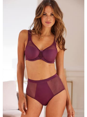 nuance Minimizer-BH in Pflaume