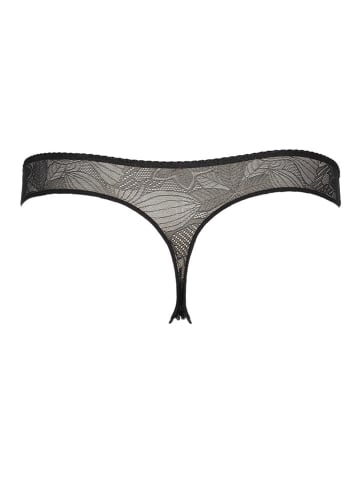 nuance String in Braun