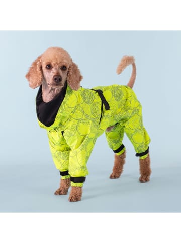 Paikka Hunde-Regenanzug in Grün