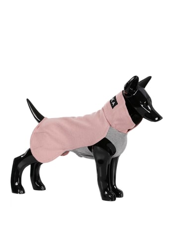 Paikka Hunde-Wintershirt in Rosa