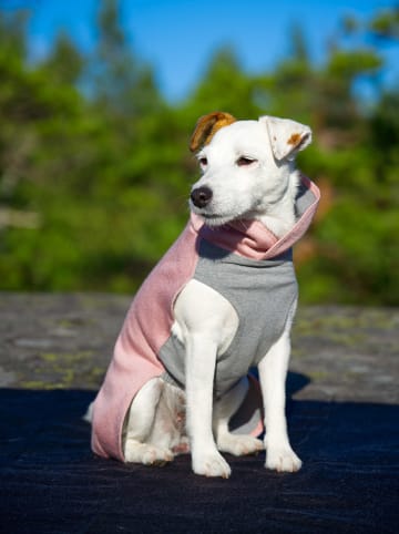 Paikka Hunde-Wintershirt in Rosa