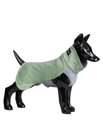 Paikka Hondenwintershirt groen