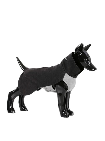 Paikka Hunde-Wintershirt in Anthrazit