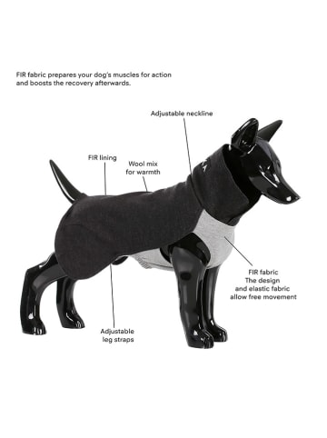 Paikka Hunde-Wintershirt in Anthrazit