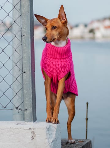Paikka Wollen hondentrui roze