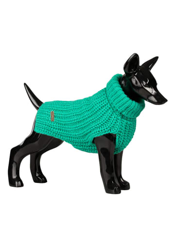 Paikka Hunde-Wollpullover in Grün