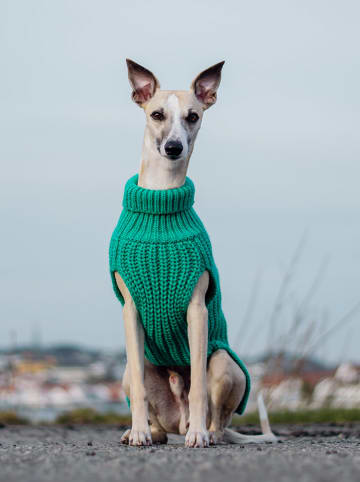 Paikka Hunde-Wollpullover in Grün