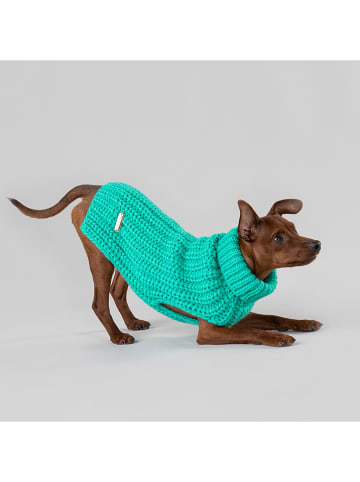 Paikka Hunde-Wollpullover in Grün