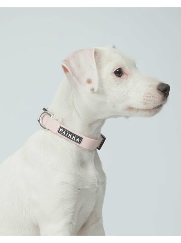 Paikka Halsband "Glow" lichtroze - (L)23-30 x (B)1,5 cm