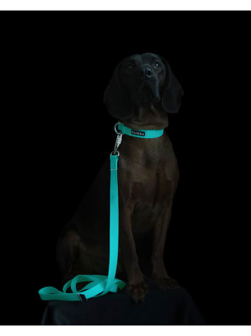 Paikka Hondenriem "Glow" turquoise - (L)180 x (B)1,5 cm